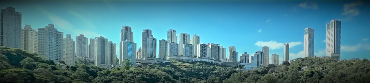 Apartamento a venda Vila da Serra bh